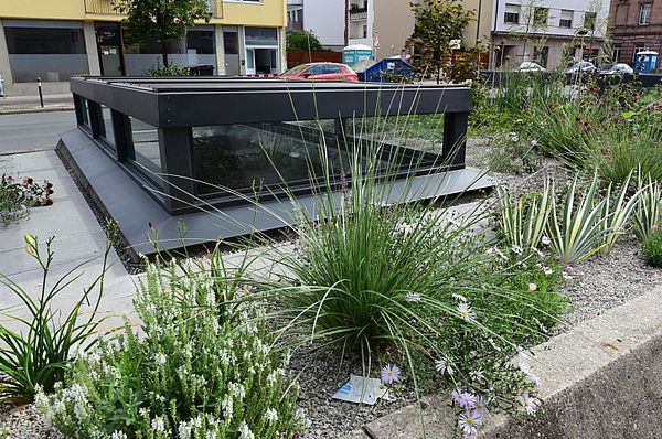 Üppige Blumenpracht an den neuen Lichtkuppeln in der Fürther Straße. Üppige Blumenpracht an den neuen Lichtkuppeln in der Fürther Straße.