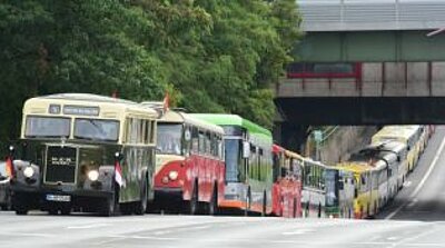 Die bei der Feier beteiligten Busse - vom historischen bis zum modernen - stehen in einer Schlange