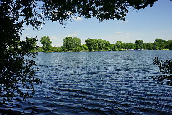 Dutzendteich umgeben von grünen Bäumen bei blauem Himmel