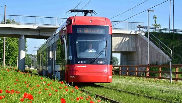 Eine Straßenbahn auf Rasengleis fahrend