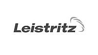 Leistritz Logo