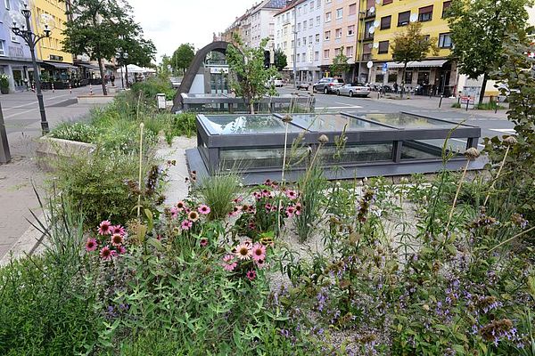 Üppige Blumenpracht an den neuen Lichtkuppeln in der Fürther Straße. Üppige Blumenpracht an den neuen Lichtkuppeln in der Fürther Straße.