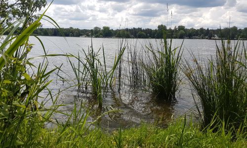 See mit Schilf im Vordergrund