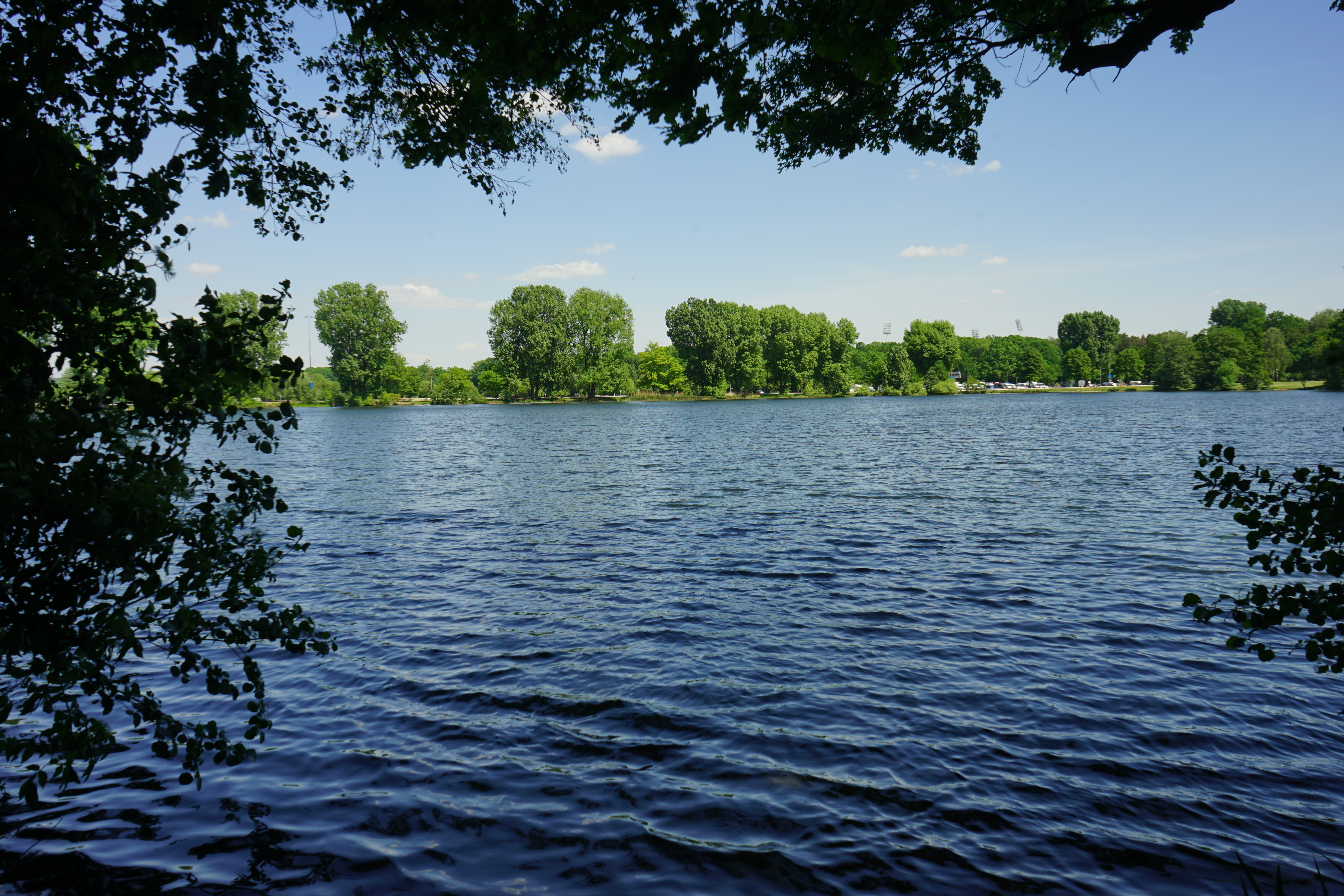 Dutzendteich umgeben von grünen Bäumen bei blauem Himmel